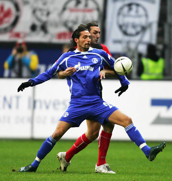 如果你需要 如果你需要