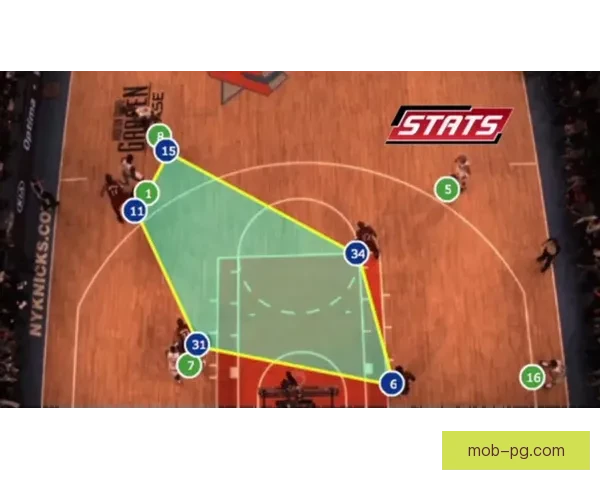 体育明星数据分析：揭秘球员背后的数据故事