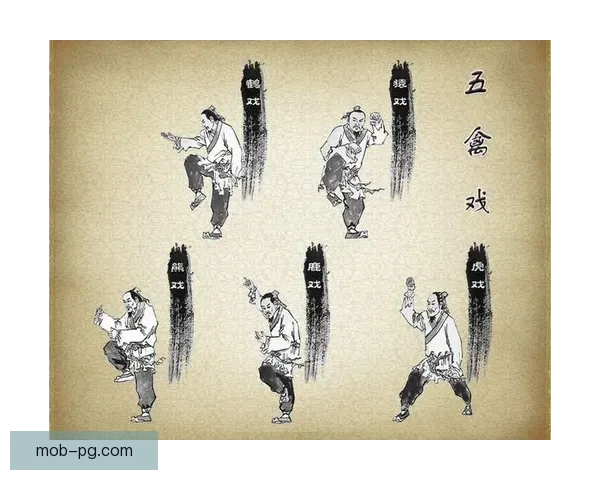 体操规则：全面解读体操竞技的技巧、要求和评分标准