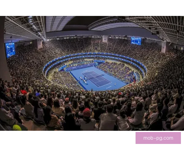 全面解读网球公开赛：历史、规则与明星球员