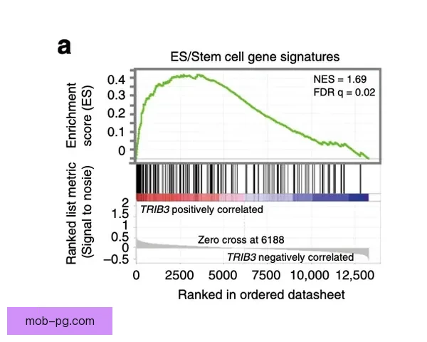 冲浪对战技巧与战术策略分析详解