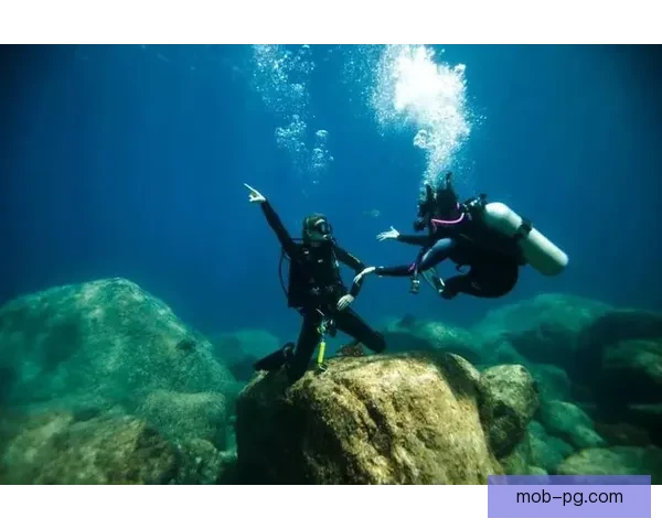 学会跳水的正确姿势，轻松享受水下世界