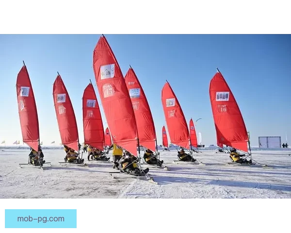 帆船杯赛：风帆扬起，挑战极限，探寻海洋之魅。