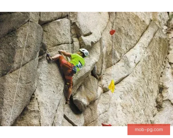 山地车赛事预测：勇攀险峰，谁将夺得桂冠？