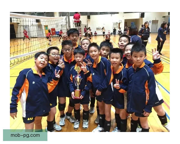 排球冠军：登顶之路，梦想与汗水的交织