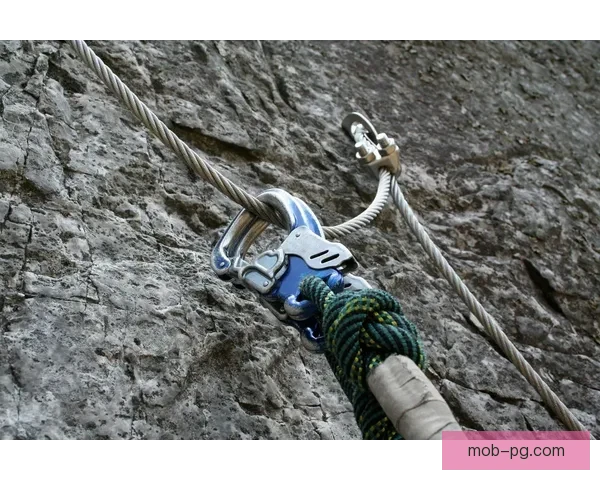 探险之旅：攀岩技巧大揭秘