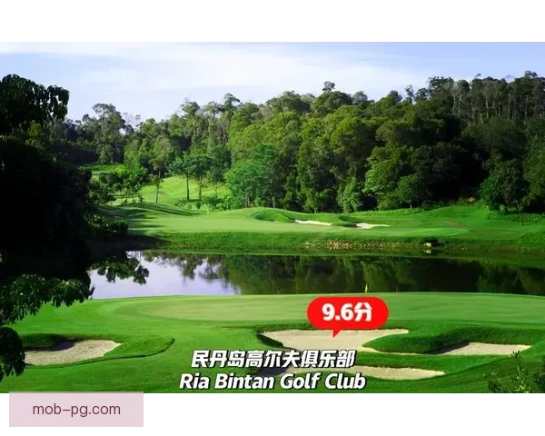 探索高尔夫联赛的魅力及发展路径