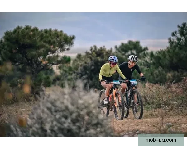 探寻山地车世界纪录的刺激之旅