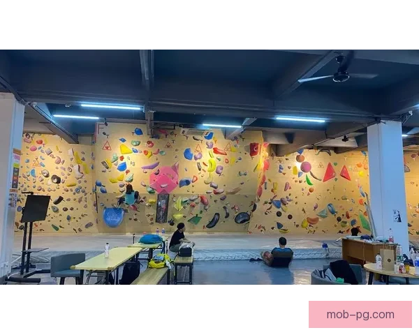 攀岩赛事预测：挑战高峰，谁将笑到最后？