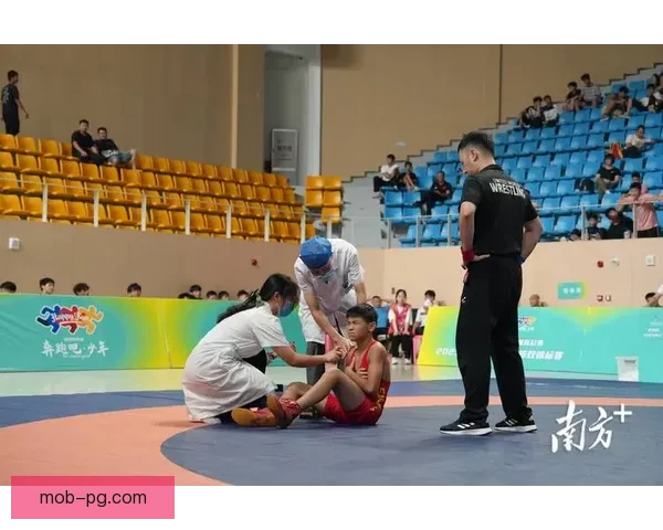 摔跤竞技规则与技术应用分析