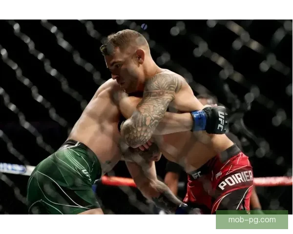 摔跤传奇：世界顶级拳手的辉煌历程