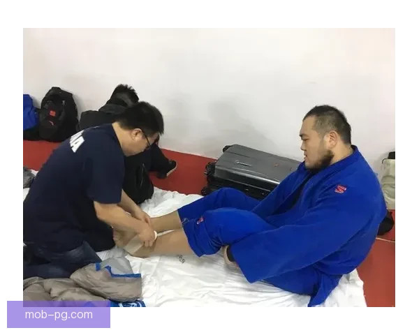 柔道联赛：筑梦之路，拼搏与荣耀