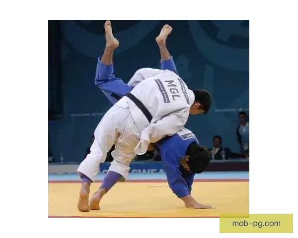 柔道大师教你绝招技巧