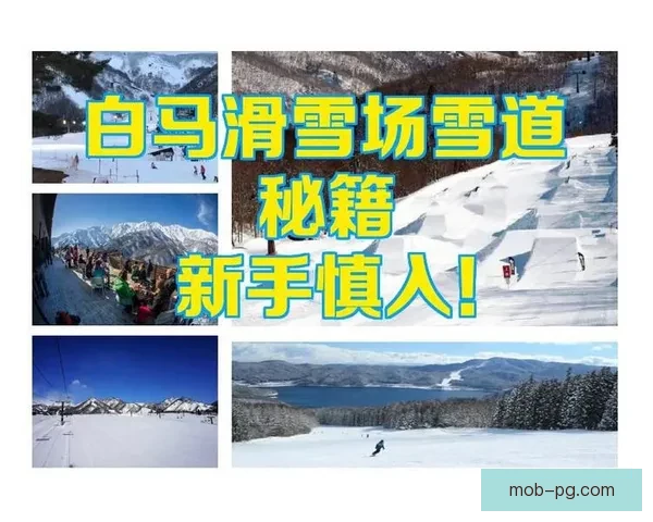 滑雪技巧提升秘籍：训练方法全解析