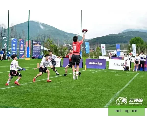 橄榄球公开赛：全方位解读，赛事盛况一览