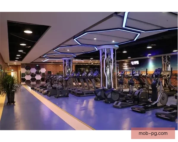 激情激燃！重燃热血之火，迎接排球巅峰盛宴