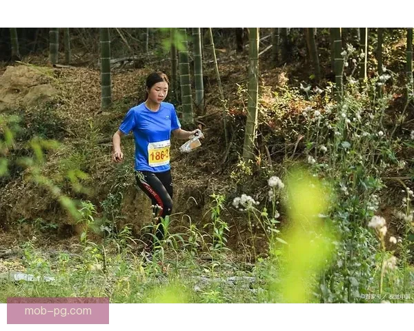 穿越山林，挑战极限：越野跑赛事全程回顾