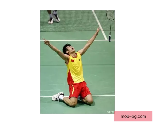 羽毛球大奖赛：激情角逐，精彩绽放