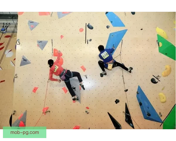精彩纷呈!攀岩赛事风云再起 精彩纷呈!攀岩赛事风云再起