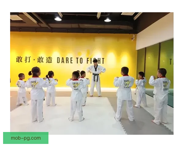 跆拳道公开赛：弘扬武道精神，展现体育风采