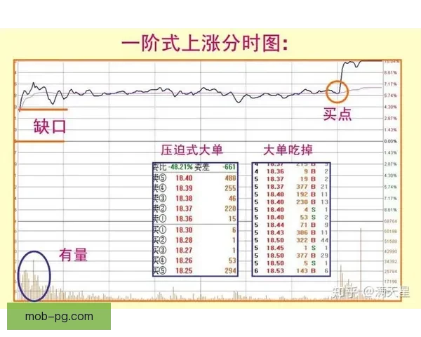 解读举重盘口数据分析及投资建议