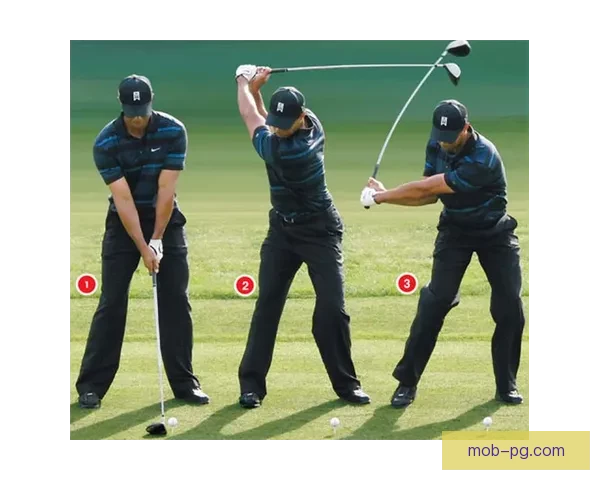 高尔夫完美挥杆技巧与练习方法